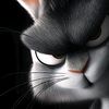 moe.thout544