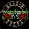 vince_n_roses