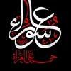 a9a1ho