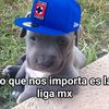 santiago.lionel.g3