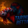 taring.betta