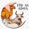 jihat740