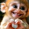 habiba.mohammed0828