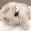 ownliepallerthat5