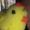 the_chatty_duck
