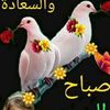 user2097322610027