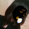 dete_00
