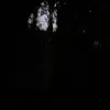 alexsmsic