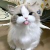 kanza_gatau