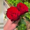 abida6079
