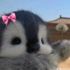 cutevri_