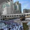 alli.ahmad24