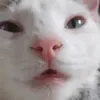 its_me_makkapakka
