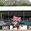 tillyandhorses1