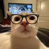 itsjajang_