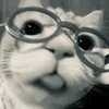 pufferkies