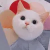 hana.mie