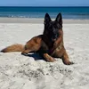 flokiddu