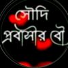 halima.khatun748