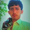 abdul.mutlib.qais