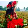 tabassumtabassum025
