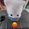 wohftsint