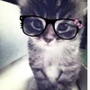 its_ellxx