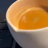 coding_johny