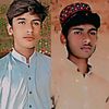 qasimalijani83