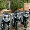 fizr.04_jepara