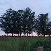 anajulia22hh
