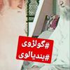 mashood.ahmed87