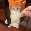 anmuxi_02