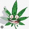 lulutaylor420