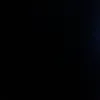 user2185446211617