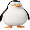 vikavivaaa15