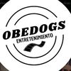 obedogsyt