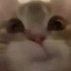 leenahwarning