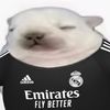 jfeditz4