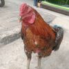 abduu.rahman19
