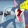 sa_jed48