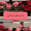 user42283888402815