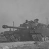 m60vn