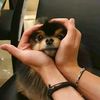luna.kim780