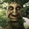 wise_.mystical.tree