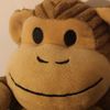 happymarmot5374