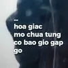minhhienaov