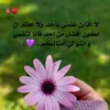 omarmohammedomarm8