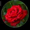 user3183114690033