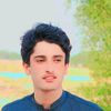 arshidshah04